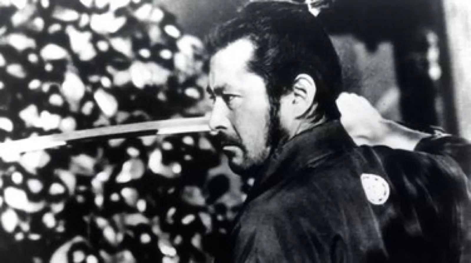 The ronin in profile, a blade held level in dappled light, in a scene from Akira Kurosawa's Sanjuro (1962)