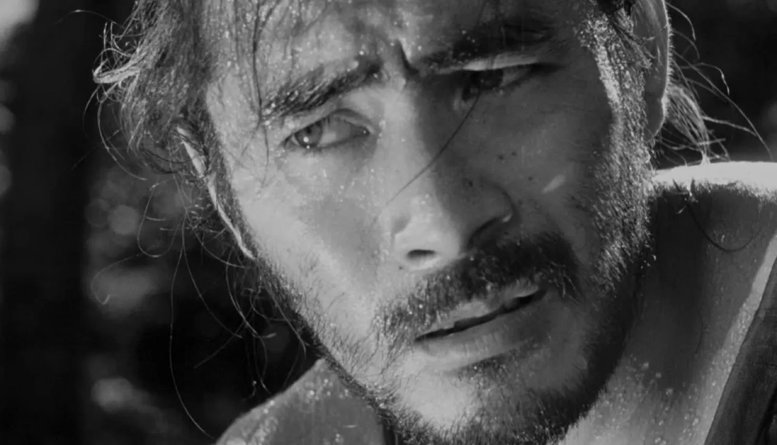 A young samurai, face flecked with dew, watching intently, in a scene from Akira Kurosawa's Sanjuro (1962)