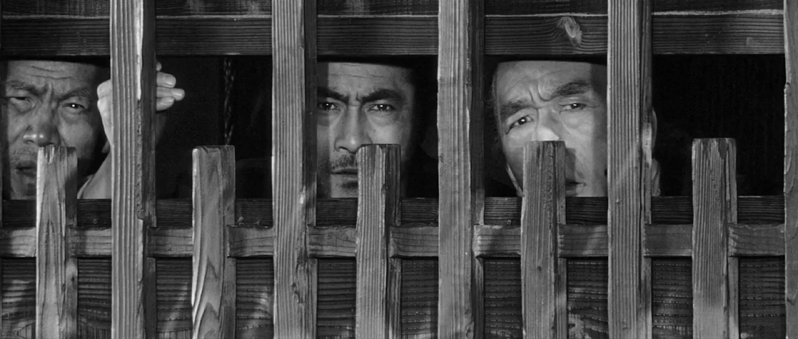 Three men's faces peering out through the gaps of a wooden lattice fence, watchful, in black and white